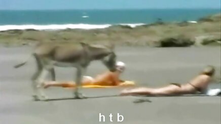 Đầu bếp câu chuyện seine Angestellte auf sex han quoc tu suong dem Bàn